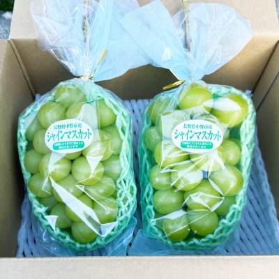 2026年発送　シャインマスカット2房1.2kg以上