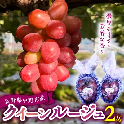 2026年発送　クイーンルージュ　2房