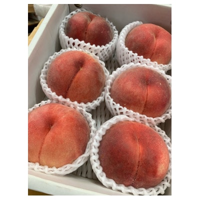 田中さんの白桃1.5kg | 樹上完熟にこだわった長野県中野市の桃です。