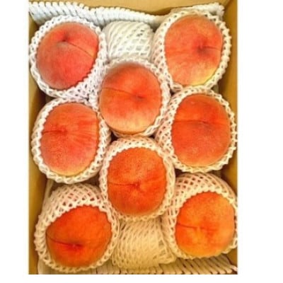 田中さんの白桃3kg | 樹上完熟にこだわった長野県中野市の桃です