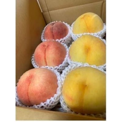 田中さんの2色桃詰合せ2.2kg | 樹上完熟にこだわった長野県中野市の桃です