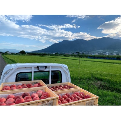 田中さんの2色桃詰合せ2.2kg | 樹上完熟にこだわった長野県中野市の桃です
