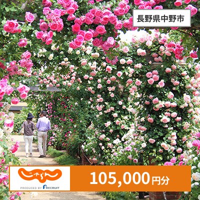 【じゃらんふるさと納税クーポン】 長野県中野市でつかえる105,000円 クーポン