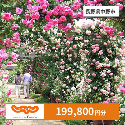 【じゃらんふるさと納税クーポン】 長野県中野市でつかえる199,800円 クーポン
