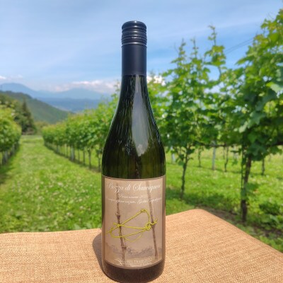 Bozza di Sauvigunon(ソーヴィニヨン・ブラン:白ワイン)750ml×1本