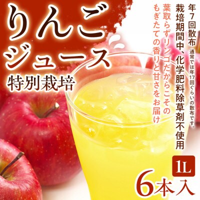 【葉とらずりんごのやさしい甘さ】りんごジュース 6本入り  1セット