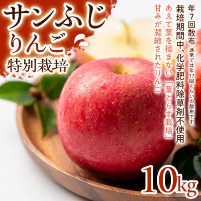 【濃厚な甘みとしっかり食感】サンふじ 10kg 1セット