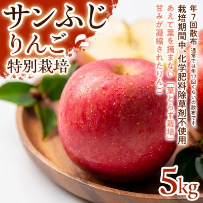 【濃厚な甘みとしっかり食感】サンふじ 5kg 1セット