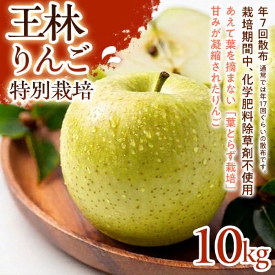 【芳醇な香りとやさしい甘み】王林(おうりん) 10kg 1セット