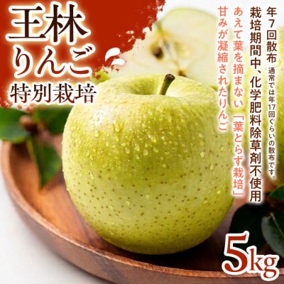 【芳醇な香りとやさしい甘み】王林(おうりん) 5kg 1セット