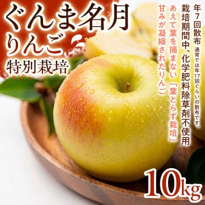 【甘みの強い黄色りんご】ぐんま名月 10kg 1セット
