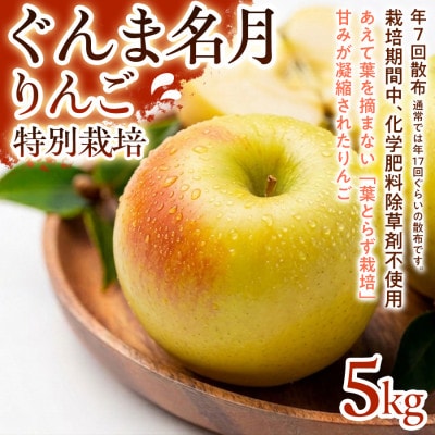 【甘みの強い黄色りんご】ぐんま名月 5kg 1セット