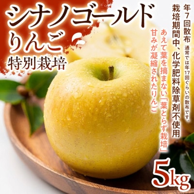 【シャキシャキ食感と爽やかな甘み】シナノゴールド 5kg 1セット