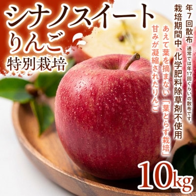 【甘みしっかり】シナノスイート 10kg 1セット