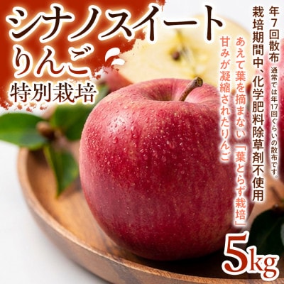 【甘みしっかり】シナノスイート 5kg 1セット