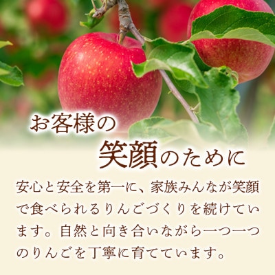 【しっかりした酸味】紅玉(こうぎょく) 10kg 1セット