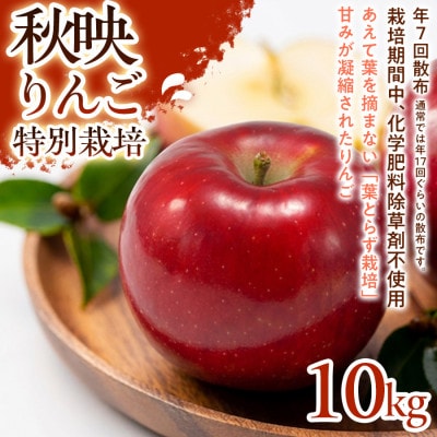 【濃厚な甘みと酸味】秋映(あきばえ)10kg 1セット