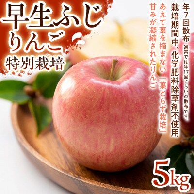 【みずみずしい甘さと軽やかな食感】早生ふじ 5kg 1セット