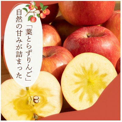 【食べきりやすい小玉サイズ】シナノピッコロ 5kg 1セット