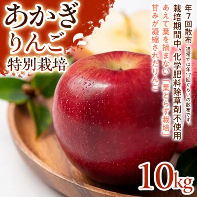 【しっかりとした甘み】あかぎ 10kg 1セット