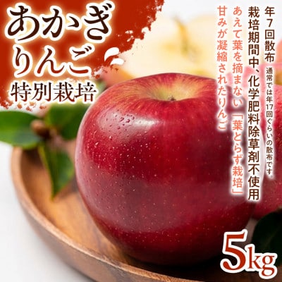 【しっかりとした甘み】あかぎ 5kg 1セット