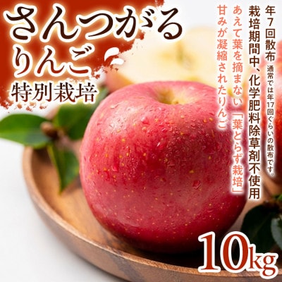 【ジューシーな甘さ】サンつがる 10kg 1セット