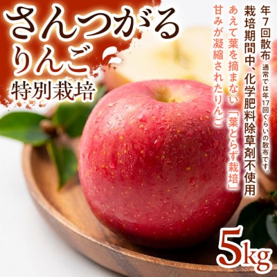 【ジューシーな甘さ】サンつがる 5kg 1セット