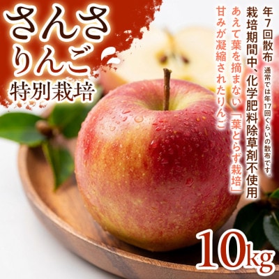 【ほどよい酸味と甘み】さんさ 10kg 1セット