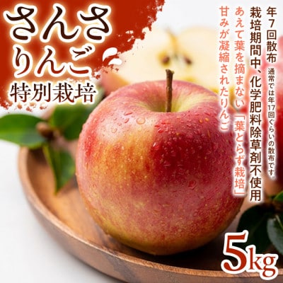 【ほどよい酸味と甘み】さんさ 5kg 1セット