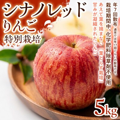 【軽やかな甘さと食べやすさ】シナノレッド 5kg 1セット
