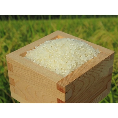 環境こだわり農産物　コシヒカリ&ミルキークイーン白米セット(3kgずつ)