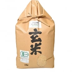 JAS有機オーガニック コシヒカリ 玄米10kg 【令和3年産】