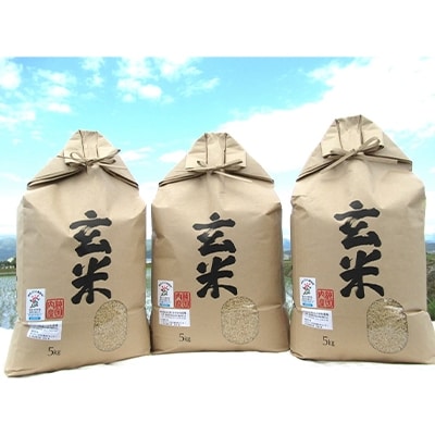 栽培期間中農薬不使用 滋賀県産 特別栽培米 コシヒカリ 玄米5kg