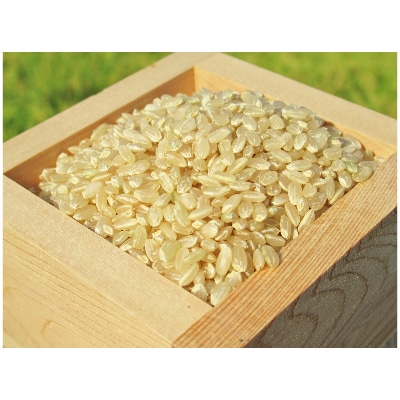 滋賀県産 低農薬栽培 ミルキークイーン 玄米3kg 令和6年産
