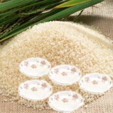 湖北米コシヒカリ(精米)2kg&日本製和桜小皿のいただきセット