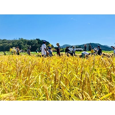 【令和4年産のお米】滋賀県西浅井町産コシヒカリ「まるこ米」3kg×4