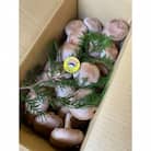 長浜市産　プレミアムきんたろうしいたけ(約1kg)