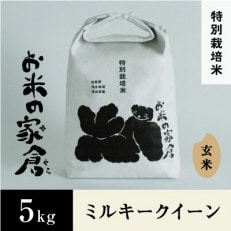 【令和5年産】滋賀県長浜市 プチプチ食感!特別栽培&rdquo;ミルキークイーン&rdquo;5K玄米