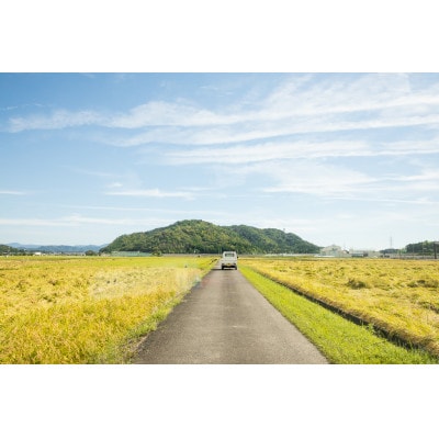 【令和6年産】滋賀県長浜市　しっかり粒感!ここだけの味わい”みずかがみ”5K白米