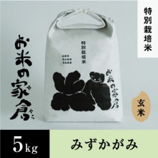 【令和5年産】滋賀県長浜市　しっかり粒感!特別栽培”みずかがみ”5K玄米