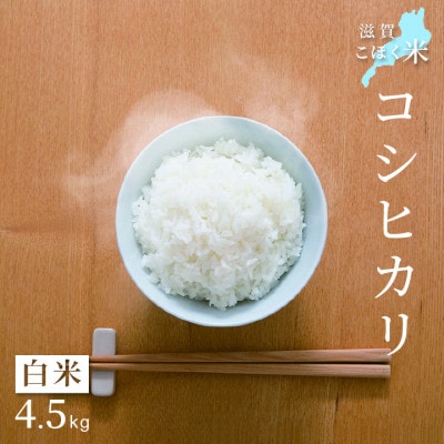 令和4年産 滋賀県湖北産 湖北のコシヒカリ 白米 4.5kg 【食味最高ランク特A 3年連続受賞】