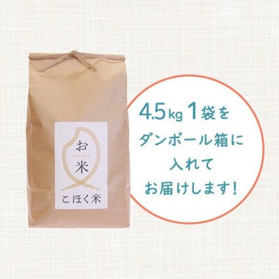 令和4年産 滋賀県湖北産 湖北のコシヒカリ 白米 4.5kg 【食味最高ランク特A 3年連続受賞】