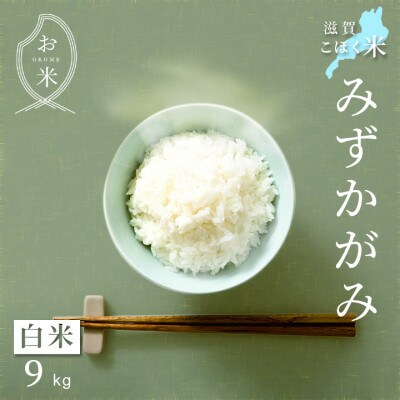 令和6年産 滋賀県湖北産 湖北のみずかがみ 白米 9kg【食味最高ランク特A 4度受賞・特別栽培米】