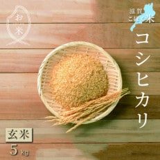 令和4年産 滋賀県湖北産 湖北のコシヒカリ 玄米 5kg 【食味最高ランク特A 3年連続受賞】