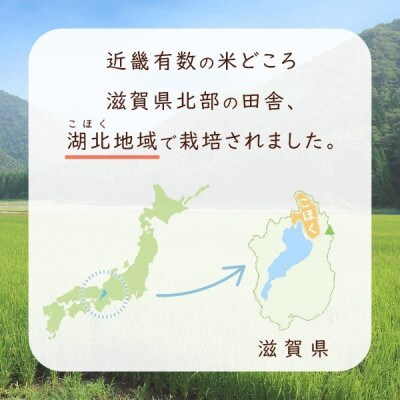 令和4年産 滋賀県湖北産 湖北のコシヒカリ 玄米 30kg 【食味最高ランク特A 3年連続受賞】