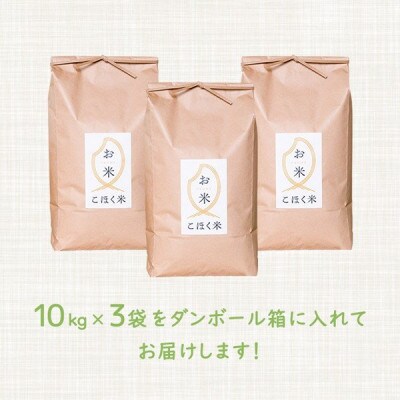 令和6年産 滋賀県湖北産 湖北のミルキークイーン 玄米　30kg