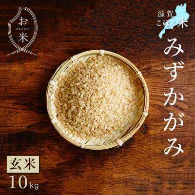 令和6年産 滋賀県湖北産 湖北のみずかがみ 玄米　10kg　【食味最高ランク特A 4度受賞】