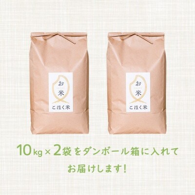 令和6年産 滋賀県湖北産 湖北のみずかがみ 玄米　20kg　【食味最高ランク特A 4度受賞】