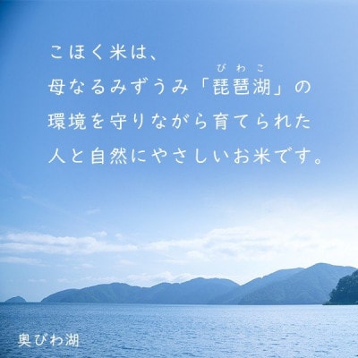 令和6年産 滋賀県湖北産 湖北のみずかがみ 玄米　30kg　【食味最高ランク特A 4度受賞】