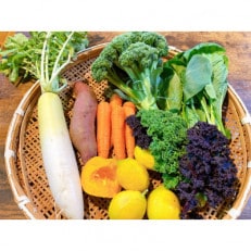 【ふるさと納税】玄米(1kg)と季節の野菜セット